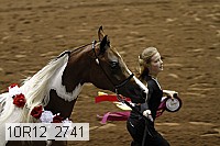 10r12_2741 thumbnail