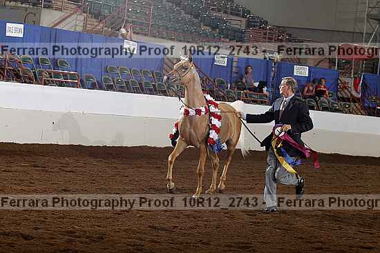 Proof Number 10r12_2743