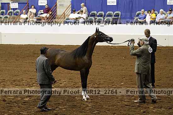 Proof Number 10r12_2764
