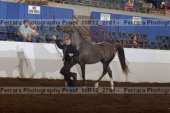 Proof Number 10r12_2781