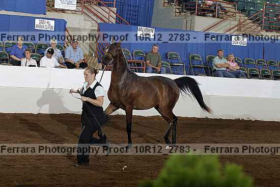 Proof Number 10r12_2783