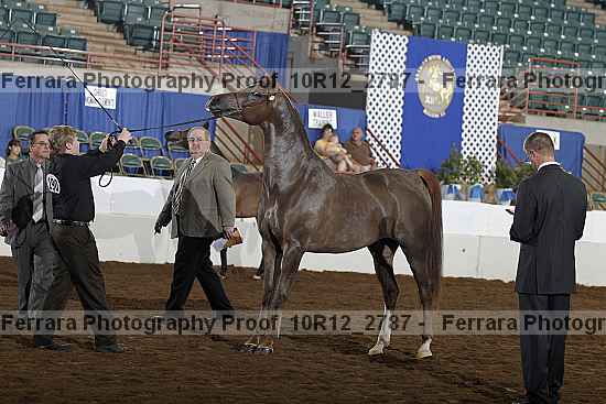Proof Number 10r12_2787
