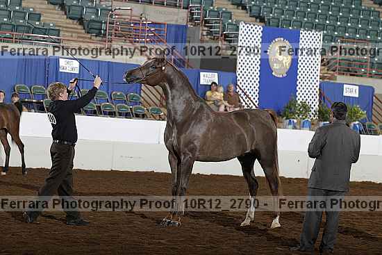 Proof Number 10r12_2790