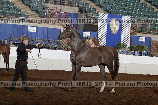 Proof Number 10r12_2791