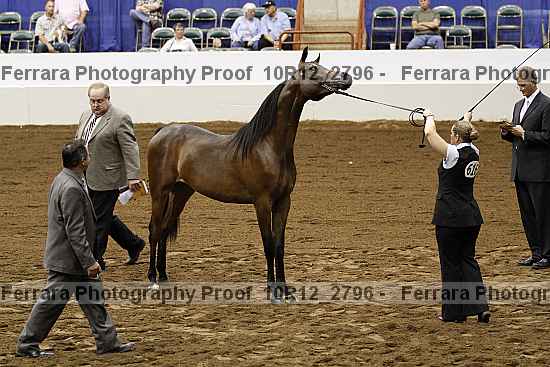Proof Number 10r12_2796