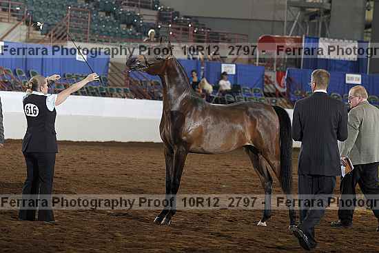 Proof Number 10r12_2797