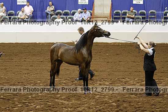 Proof Number 10r12_2799