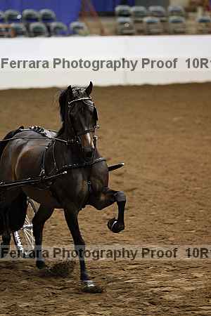 Proof Number 10r12_2825