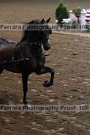 Proof Number 10r12_2826