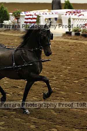 Proof Number 10r12_2827