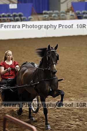 Proof Number 10r12_2829