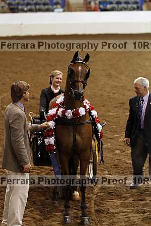 Proof Number 10r12_2838