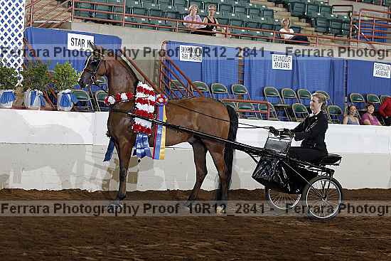 Proof Number 10r12_2841