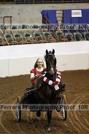 Proof Number 10r12_2843