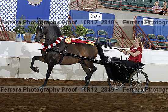 Proof Number 10r12_2849