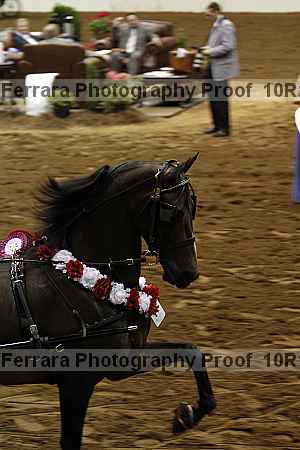 Proof Number 10r12_2850