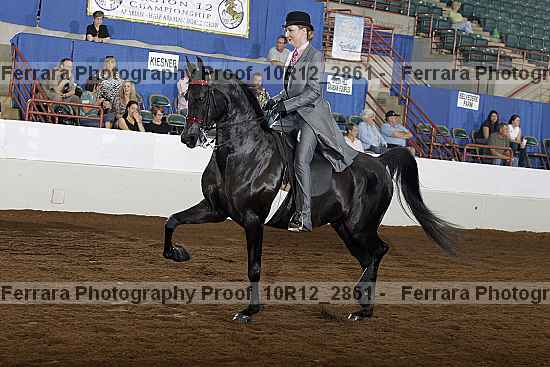 Proof Number 10r12_2861