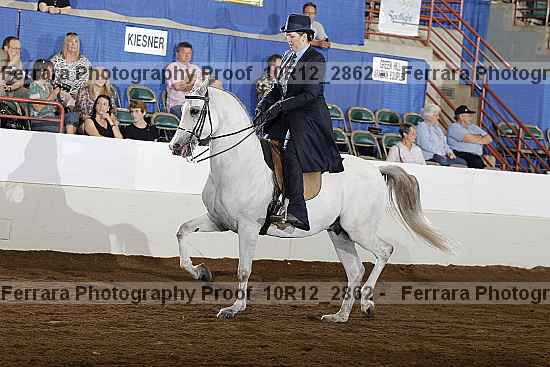 Proof Number 10r12_2862