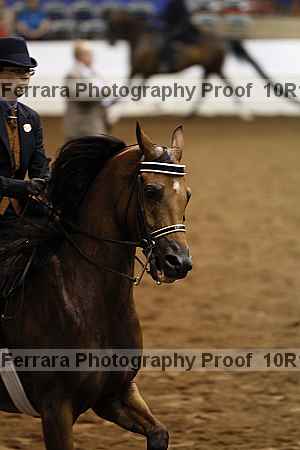 Proof Number 10r12_2877