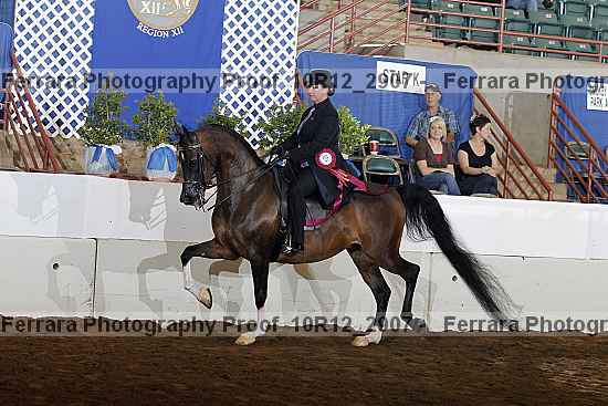 Proof Number 10r12_2907