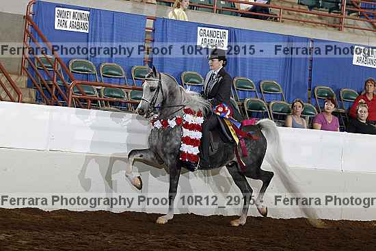 Proof Number 10r12_2915