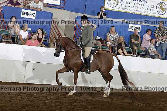 Proof Number 10r12_2976