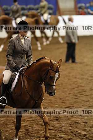 Proof Number 10r12_2982