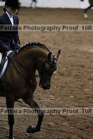 Proof Number 10r12_3010