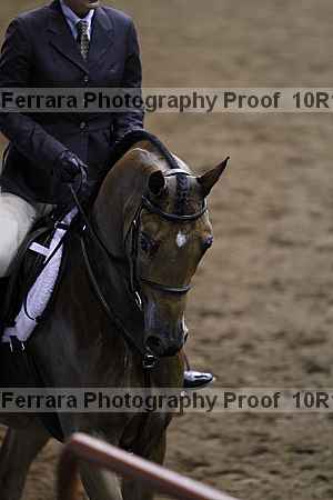 Proof Number 10r12_3018