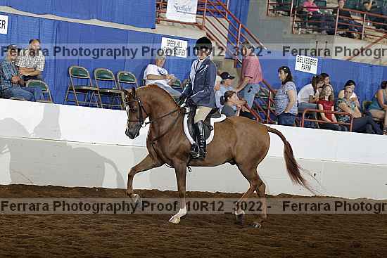 Proof Number 10r12_3022