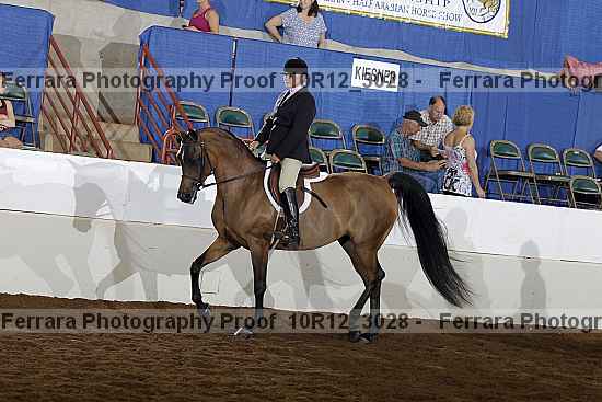Proof Number 10r12_3028