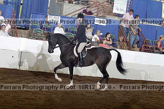 Proof Number 10r12_3030