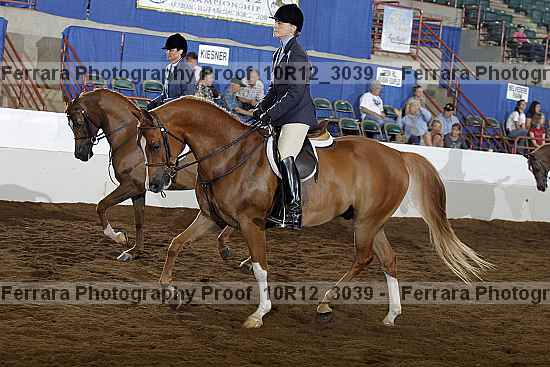 Proof Number 10r12_3039