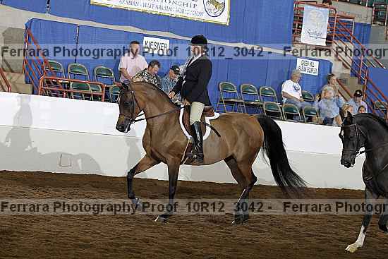 Proof Number 10r12_3042