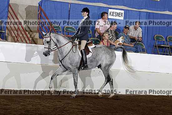 Proof Number 10r12_3045