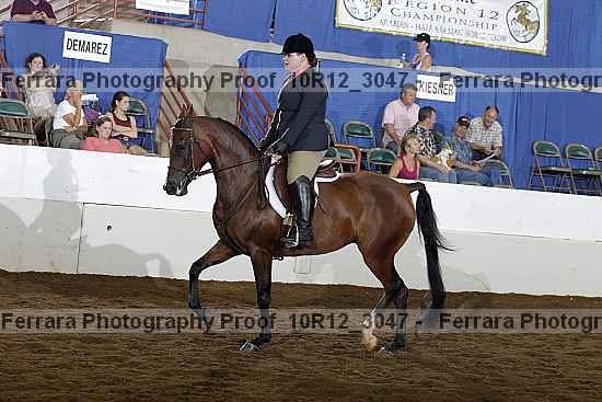 Proof Number 10r12_3047