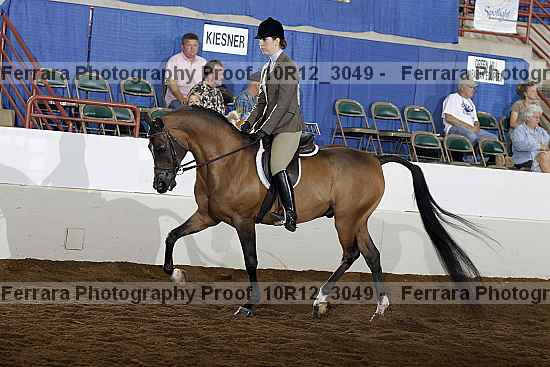 Proof Number 10r12_3049
