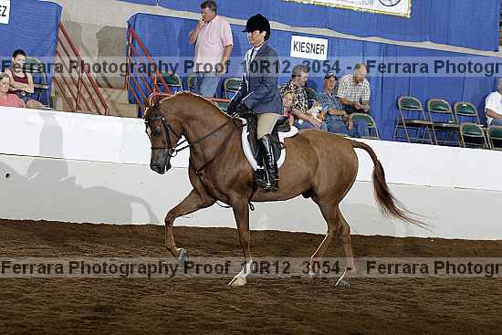 Proof Number 10r12_3054