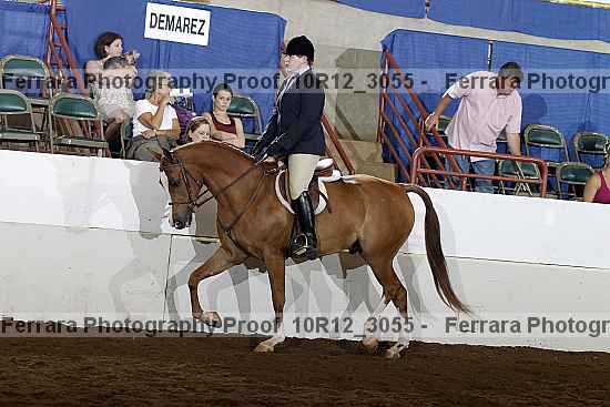 Proof Number 10r12_3055