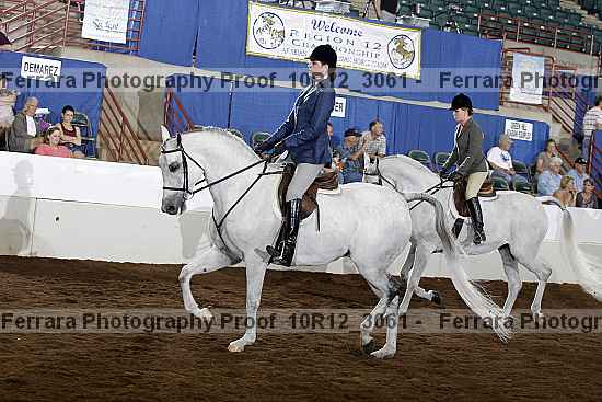 Proof Number 10r12_3061