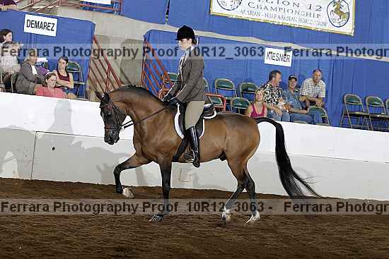 Proof Number 10r12_3063
