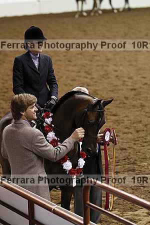 Proof Number 10r12_3153