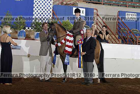 Proof Number 10r12_3160