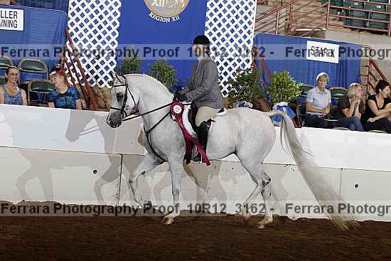 Proof Number 10r12_3162
