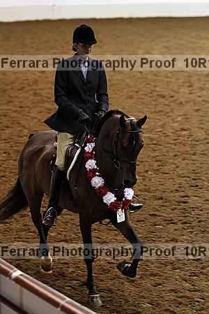 Proof Number 10r12_3171