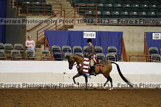 Proof Number 10r12_3173
