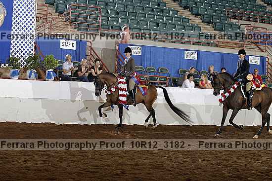 Proof Number 10r12_3182