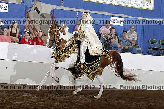 Proof Number 10r12_3117