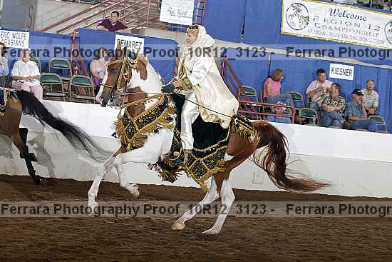 Proof Number 10r12_3123