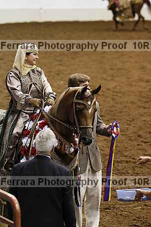 Proof Number 10r12_3131